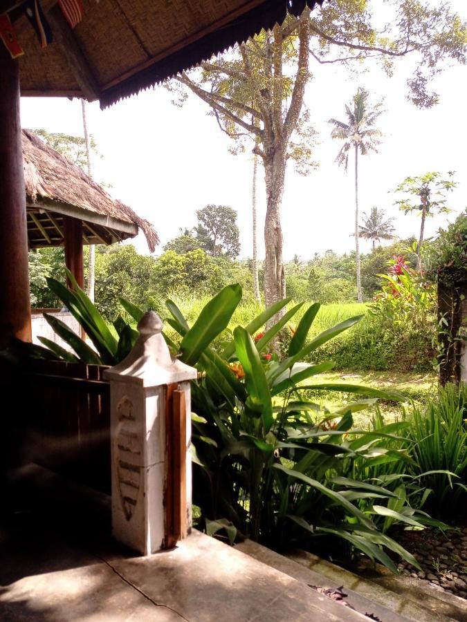 Hakiki Inn Bungalows 테테바투 외부 사진